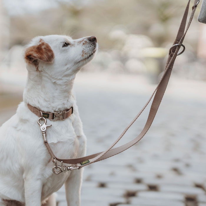 HUNTER Ställbart halsband Inari Alu-Strong Beige