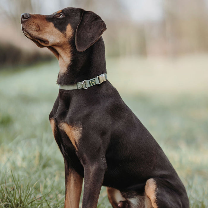 HUNTER Ställbart halsband Inari Alu-Strong Lindgrön