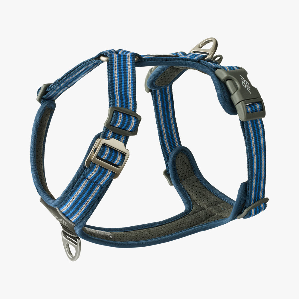 Dog Copenhagen Comfort Walk Air 3.0 Harness Blå