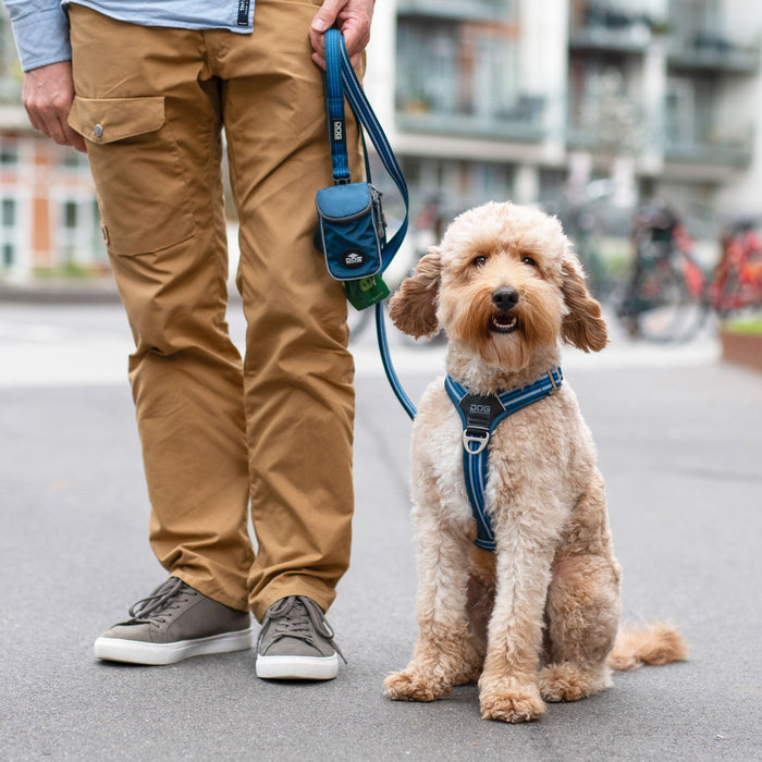 Dog Copenhagen Comfort Walk Air 3.0 Harness Blå