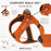 Dog Copenhagen Comfort Walk Go Harness Orange